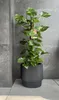 Vaso per fiori 30 x 29 cm - Vaso per piante 17L con vaso Anteprima dell’immagine prodotto 2