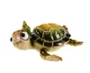 Formano 2er Set Dekofigur Schildkröte Harry - Polyresin 14 Produktbild-Vorschau 4