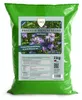 Phacelia Gründünger 2 kg Produktbild-Vorschau 1