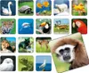 Memoria ZOO Anteprima dell’immagine prodotto 5