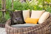 MuchoWow® Outdoor Kissen - Schottisches Hochlandrind - Produktbild-Vorschau 3