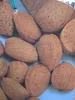 Mandelbaum Genco - Prunus amygdalus genco - Hochstamm Produktbild-Vorschau 2