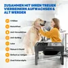Podwyższona miska dla psów z 4 regulowanymi poziomami | Podgląd zdjęcia produktu 5