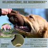GIZZY® Futterdummy für Hunde grün – Robuster Produktbild-Vorschau 5