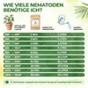 POWER SF-Nematoden gegen Trauermücken,3 Mio. für 30 Produktbild-Vorschau 3