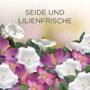 AirWick Duftstecker Seide & Lilienfrische Nachfüller 19ml, Produktbild-Vorschau 7