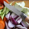 OPINEL Nože Tradizione, 001083 Náhľad obrázku produktu 10