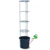 Prosperplast Tomatoes 29.5x29.5x 23.6-115.2 Cm Blumentopf Produktbild-Vorschau 39