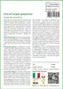 SAFLAX Set regalo - Erba del sangue giapponese - 50 semi - Anteprima dell’immagine prodotto 3