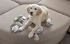 Kerbl Hund Beißring Weiß Grau Polyester Tiere Produktbild-Vorschau 6