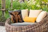 MuchoWow® Outdoor Kissen - Kühe - Schottische Produktbild-Vorschau 3