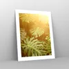 Poster - Poster ohne Rahmen - Blätter Monstera Licht - Produktbild-Vorschau 7