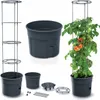 Prosperplast Tomatoes 29.5x29.5x 31.5-153 Cm Blumentopf Produktbild-Vorschau 22