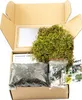 Gardners Kokedama "Vyrob si sám" (M) Náhľad obrázku produktu 1