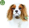 Peluche King Charles Spaniel 25 Cm Ecologico Anteprima dell’immagine prodotto 8
