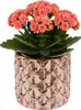 Keramik Blumentopf übertopf mit Roségold Spiegeleffekt Produktbild-Vorschau 9