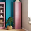 A pink metal storage cabinet stands next to a pink glass-front cabinet, against a teal wall. A potted plant is in front of the cabinet. Podgląd zdjęcia produktu