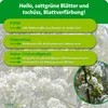 Purgrün -Felsenbirne-Dünger 1 kg Produktbild-Vorschau 3