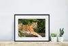 MuchoWow® MuchoWow® Gerahmtes Poster Tiger - Baum - Blätter Produktbild-Vorschau 6