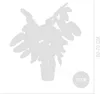 Bloomique - Calathea Compactstar - Korbmarante - Produktbild-Vorschau 6