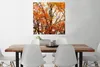 MuchoWow® Poster Wald - Herbst - Jahreszeiten 75x75 cm - Produktbild-Vorschau 2