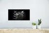 MuchoWow® Poster Tiere - Lemur - Schwarz - Weiß - Porträt Produktbild-Vorschau 5