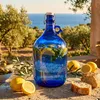 lilawelt24 4x 5L Glasballon Blau mit Bügelverschluss und Produktbild-Vorschau 5