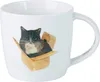 FELINE FRIENDS Hrnek 400 ml, Cat In A Box , porcelán, v Náhled obrázku produktu 1
