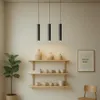 A modern living room with a plant, shelves with decorative items, and a framed picture on the wall. Náhled obrázku produktu