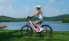 A32 E-Bike Rosa Citybike 26 Zoll, 250W, 36V 12,8Ah Akku, Produktbild-Vorschau 7