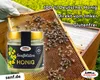 Sommerblüten Honig, 250 g Produktbild-Vorschau 4