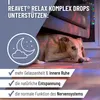 REAVET Beruhigungs Drops für Hunde 350g (140 Stück) – Relax Produktbild-Vorschau 2