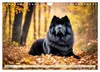 Chow Chow - der Löwenkopfhund (Wandkalender 2027 DIN A4 Produktbild-Vorschau 12