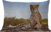 MuchoWow® Outdoor Kissen - Leopard - Tiere - Natur - 60x40 Produktbild-Vorschau 1