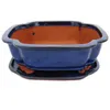 Bonsai-Schale mit Unterteller Gr. 5 - blau - haitang I4 - L Produktbild-Vorschau 1
