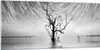 Bilder auf glas - Einteilig - Schwarzweiß Baum See - Produktbild-Vorschau 1