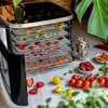 ROMMELSBACHER Disidratatore DA 450, colore:nero Anteprima dell’immagine prodotto 14