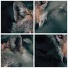 Bilder auf glas - Einteilig - Wolf Wald Raubtier - 160x50cm Produktbild-Vorschau 8