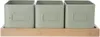 Three green square pots with label holders sit on a wooden tray. Produktbild-Vorschau