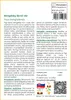 SAFLAX - Bengálsky škrtič obr - Ficus benghalensis - 20 Náhľad obrázku produktu 3