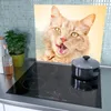 Spritzschutz Herdabdeckplatte Schneidebrett aus Glas Katze Produktbild-Vorschau 3