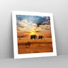 Poster - Poster ohne Rahmen - Elefanten Safari Dschungel Produktbild-Vorschau 7