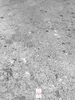 A close-up, textured view of a concrete-like surface, possibly a wall panel or flooring. Produktbild-Vorschau