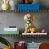 LEGO Icons 11384 Golden Retriever Welpe Anteprima dell’immagine prodotto 36