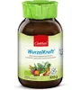 Jentschura WurzelKraft  (300g) Produktbild-Vorschau 3
