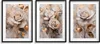 Wandposter fürs Wohnzimmer Edle Wanddeko Rosen Blumen Produktbild-Vorschau 4