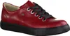 Finn Comfort Schuhe Elpaso, 02479658147, Größe: 25.0 cm Produktbild-Vorschau 12