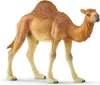 Schleich 14832 Dromader Podgląd zdjęcia produktu 1