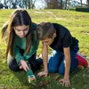 EDUPLAY 150139 Acchiappainsetti lungo, verde/arancione Anteprima dell’immagine prodotto 6
