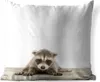 MuchoWow® Outdoor Kissen - Waschbär - Tiere - Jungen - Produktbild-Vorschau 1